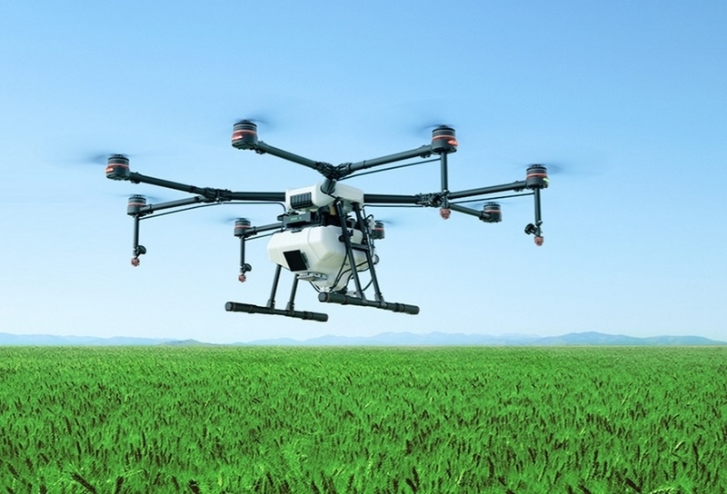 Agriculture