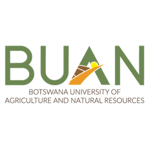 BUAN Logo